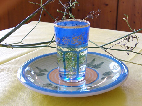 wild-fennel-tea